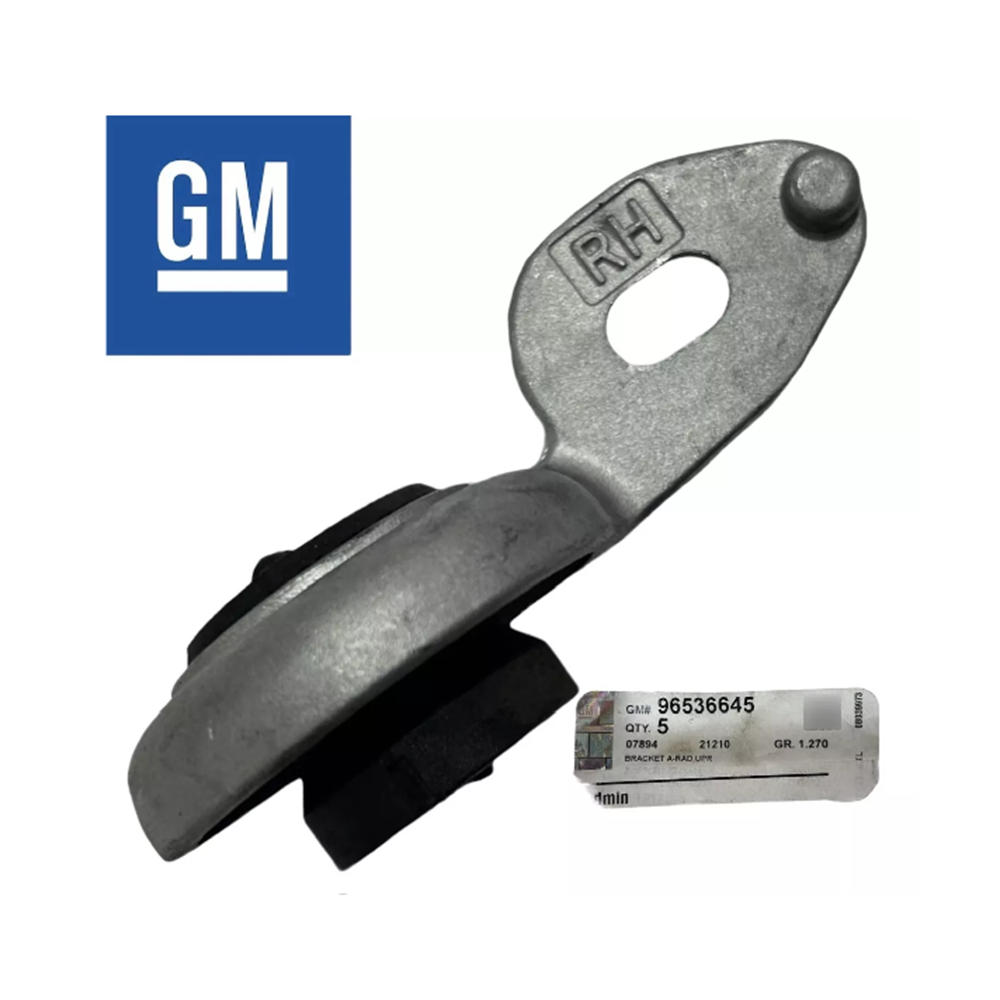 Chevrolet Aveo Kalos Sağ Üst Radyatör Ayağı Gm Orjinal 96536645