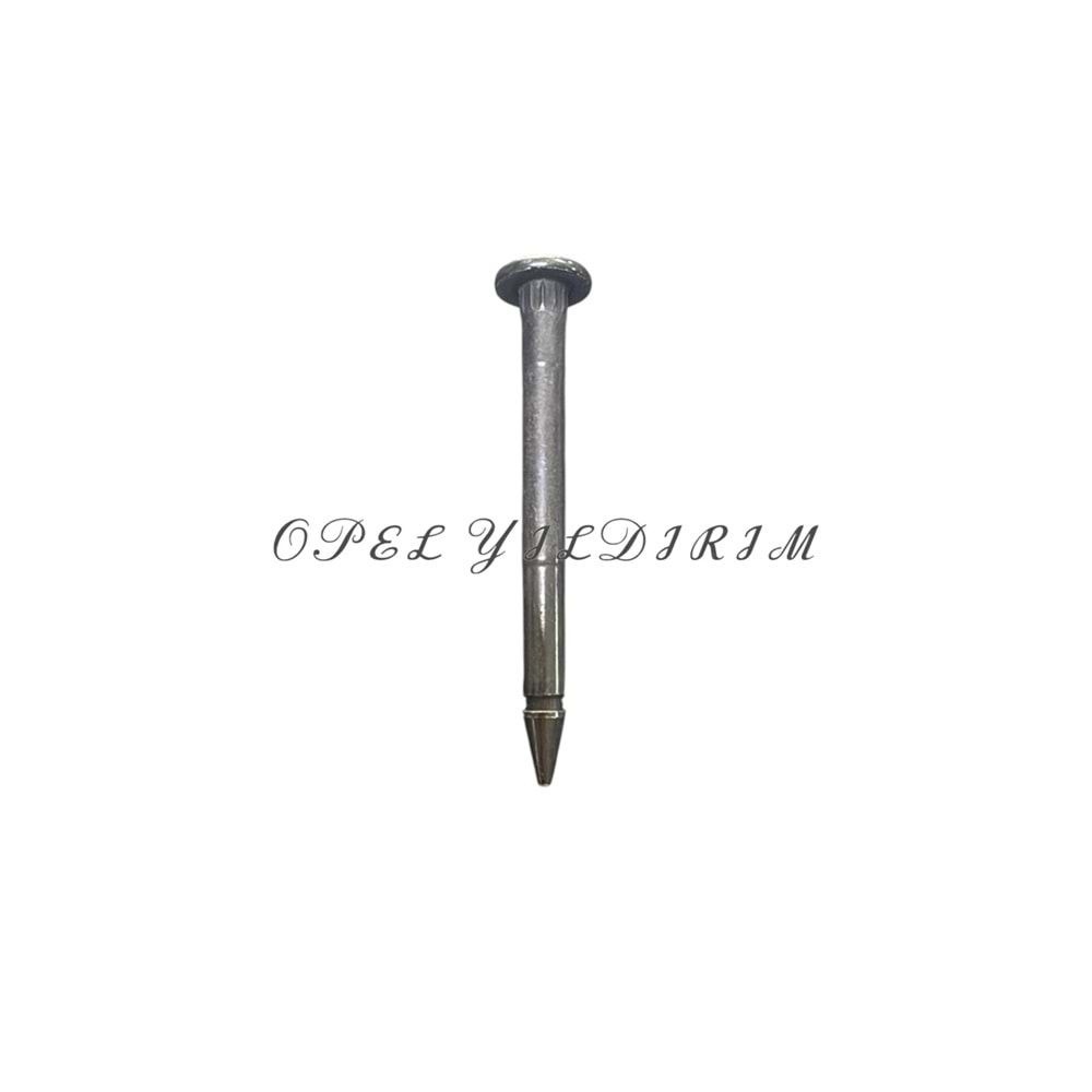Opel Astra L Kapı Menteşe Pimi Psa Orijinal 9673328180
