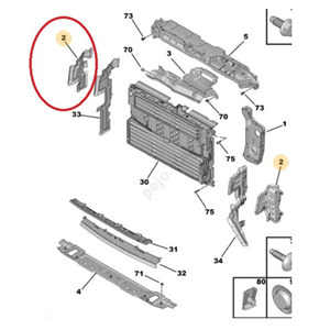 Peugeot 408 Sağ Ön Panel Yan Bakaliti Psa Orjinal 9843947680